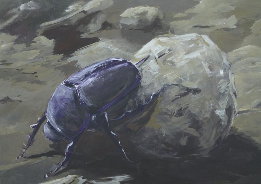 scarabée bouseux